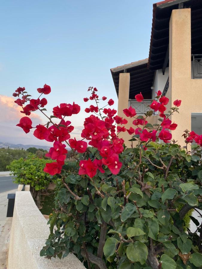 Melania Gardens Apartment Klorakas Exterior photo